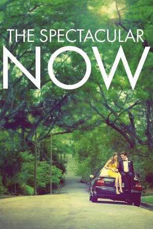 042 The Spectacular Now
