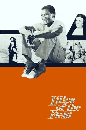 105 Lilies of the Field